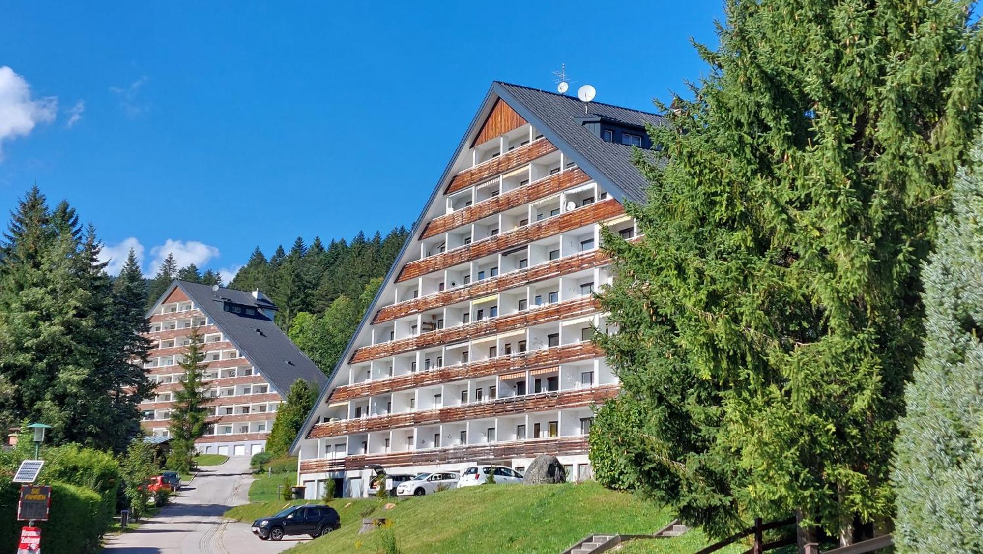 Amazing Family Apartment Bad Mitterndorf - Visit Hallstatt, Ski In Tauplitz Buitenkant foto